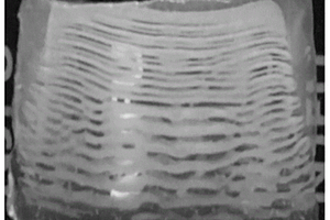 层状矿化的纳米几丁质复合水凝胶、制备方法及复合材料