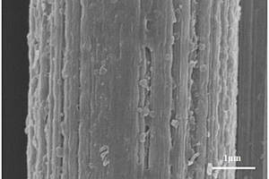 电化学聚合改性表面处理碳纤维的方法及碳纤维复合材料