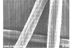 竹纤维纳米晶与其增强生物纳米复合材料及制备方法