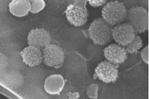 病毒状二氧化硅-石墨烯复合材料及其制备方法和应用
