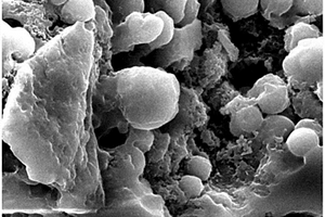 纳米片状二氧化铈/多孔炭复合材料的制备方法
