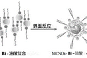 钨酸铋量子点/磁性纳米洋葱碳磁性复合材料光催化剂及其制备方法和应用