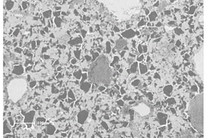 碳化硅-二硫化钨协同改性树脂基复合材料的方法