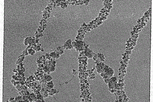 镍锌铁氧体(Ni1-xZnxFe2O4)包覆碳纳米管磁性纳米复合材料的制备方法