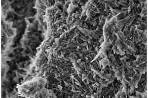 纳米棒状羟基硅酸镁/二硫化钼复合材料及其制备方法与应用