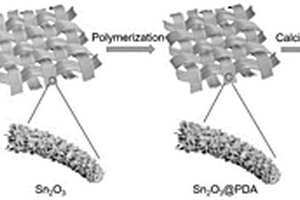 氮掺杂碳负载锡和氧化锡的纳米复合材料及其制备和应用