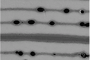合金－碳化硅纤维复合材料的制作方法