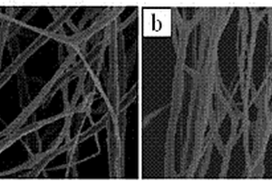 纤维素纳米纤维/增强聚氨酯复合材料的制备方法