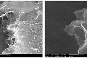 吡啶氮富集超薄碳纳米片材料及其金属复合材料的制备方法