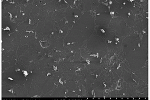 可降解纳米羟基磷灰石镁基复合材料及制备方法