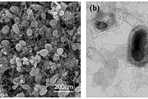 碳基核壳结构松果状纳米花磁性复合材料的制备方法