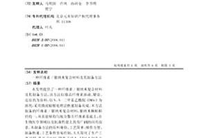 纤维素/银纳米复合材料及其制备方法