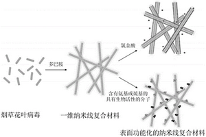 表面功能化的烟草花叶病毒纳米线复合材料的制备方法