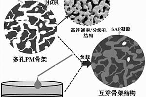 具有刚性骨架结构的PM-SAP复合材料的制备方法