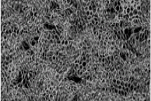 石墨烯纳米片复合材料、其制造方法及应用