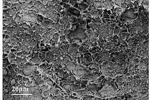 微交联抗静电型石墨烯基聚丙烯复合材料的制备方法