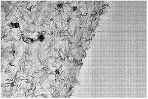 去除水中重金属的生物纳米复合材料