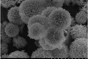 炭基氧化锌纳米球复合材料及其制备方法