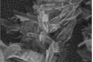 纳米磷灰石复合材料及其制备方法
