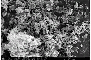 聚苯胺纳米晶须改性环氧树脂复合材料及其制备方法