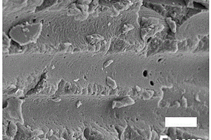 碳纤维增强尼龙-6微孔发泡复合材料的制备方法