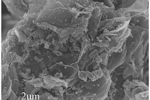 氧化石墨烯包覆ZIF-67衍生的铁/钴/氮/共掺杂多孔碳纳米粒子复合材料