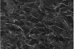 石墨烯-二氧化锡纳米颗粒三维泡沫复合材料的制备方法