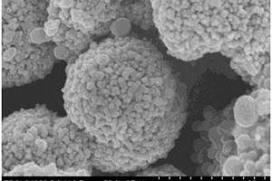 制备二氧化锡空心球/碳复合材料的方法