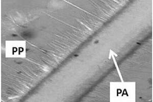 界面互锁多相聚丙烯基高分子共混复合材料的制备方法