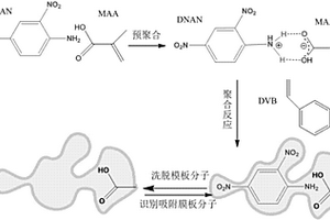 2,4-二硝基苯胺磁性分子印迹复合材料的制备方法和应用