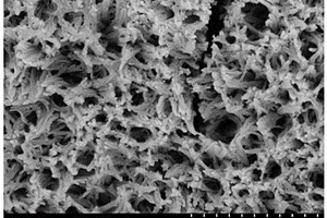 氧化钛纳米线/聚苯胺复合材料的制备方法