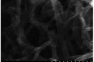 镀镍碳纳米管增强铝基复合材料的制备方法