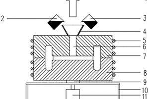 制备多功能金属基复合材料铸件的装置