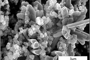 用于电化学析氢的掺钨二氧化钒纳米棒/二硫化钼复合材料及其制备方法