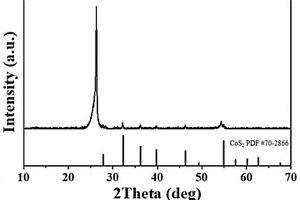 CoS2同质异构复合材料及其制备方法和应用