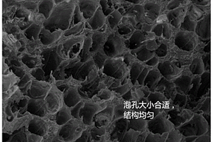 制作托盘用木塑复合材料及其制备方法