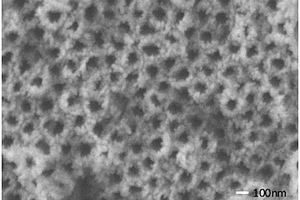 介孔羟基磷灰石/二氧化钛纳米管阵列复合材料的制备方法