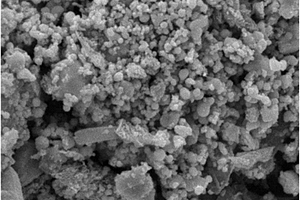 生物炭壳聚糖复合材料及其制法和应用