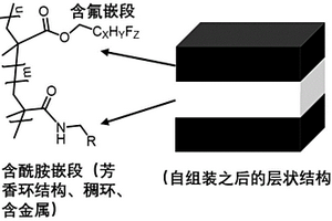 最高分辨率为5nm含酰胺基团含氟嵌段的纳米复合材料的制备及在DSA光刻领域的应用