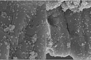 生物复合材料负载纳米银颗粒