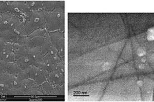 微纳双尺度碳化钛颗粒增强钛基复合材料及其制备方法