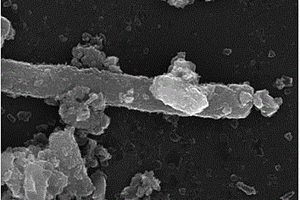涂覆单质铜的多壁碳纳米管增强镁基复合材料的制备方法