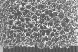 表面生长二氧化钛纳米阵列的泡沫钛复合材料