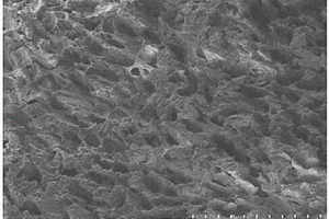 水基化学凝胶法制备多孔有机硅复合材料的方法