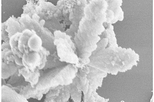 仿生结构含羞草状碳负载硫的复合材料及其制备方法、锂硫电池正极及电池