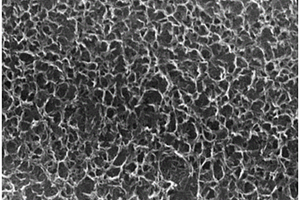 纳米多孔钛的制备方法