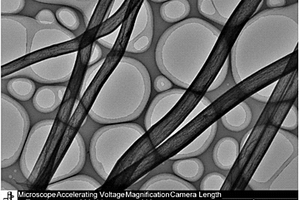 碳纳米棒复合材料及其制备方法和应用