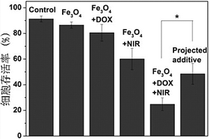 介孔Fe<sub>3</sub>O<sub>4</sub>复合材料及其制备方法与在肿瘤MRI造影及光热/化疗协同治疗中的应用