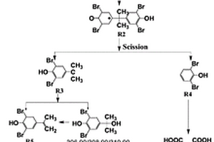 高效降解四溴双酚A的复合材料及其制备方法和应用方法