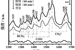 氧化亚铜纳米线阵列复合氮化碳负载铜网复合材料及其制备方法和应用